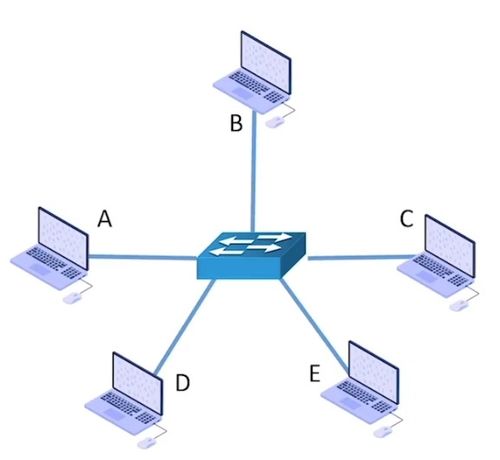 一 ⅰ 交換技術與計算機網(wǎng)絡分類 構建現(xiàn)代數(shù)字世界的基石